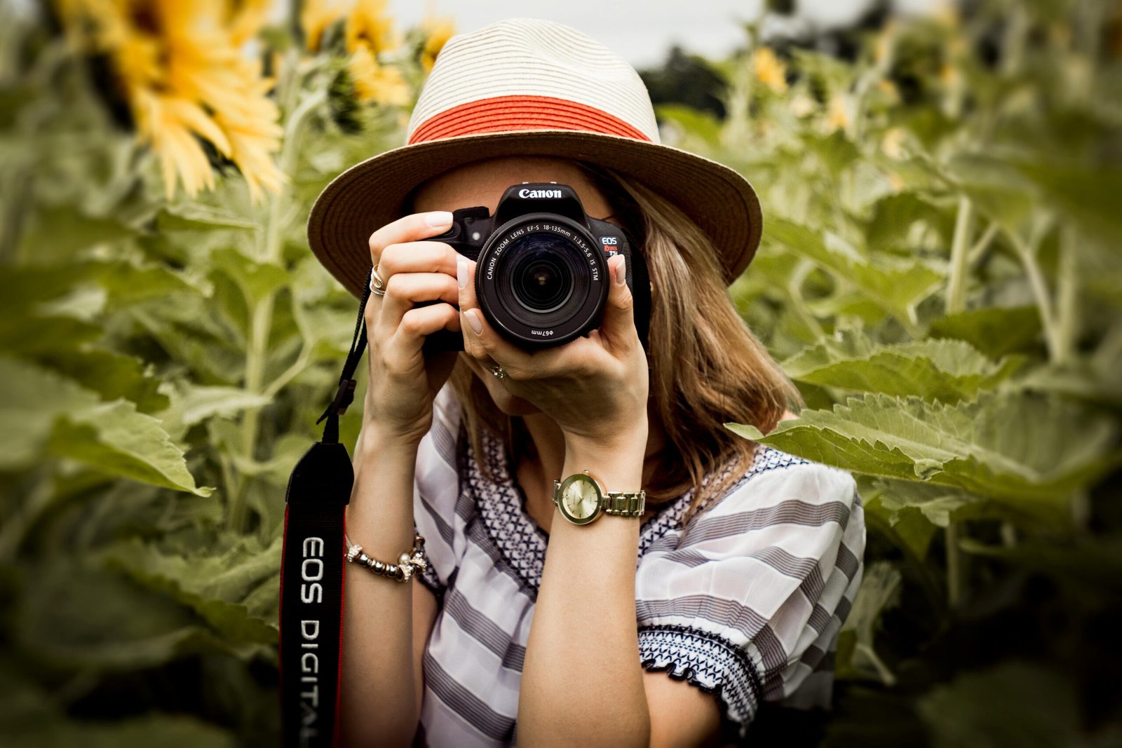 photography blogs.